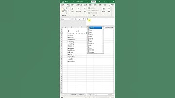使用函数进行英文字母格式的设置　 #excel　#upper #lower #proper