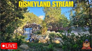 🔴 Live: Saturday Stream at Disneyland! Paint the Night & Wondrous Journeys Fireworks - 08/01/26