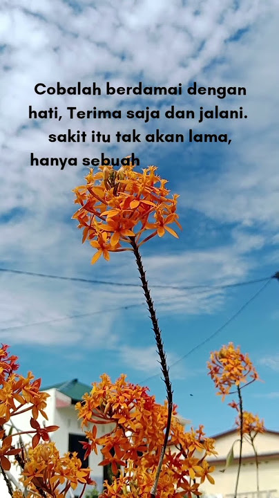 cobalah untuk berdamai, #quotes #motivasi #shortsvideo #kata kata bijak #story wa