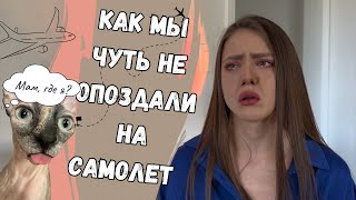 КАК МЫ ПЕРЕВЕЗЛИ КОШКУ В АМЕРИКУ | Что нам помогло при перевозке кошки