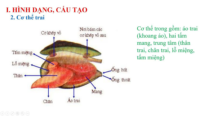 Giải bài tập sinh học 7 bài 18 trai sông