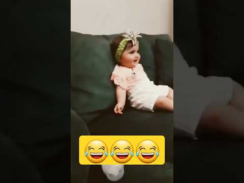 المخلوق الذي يرعب الجميع