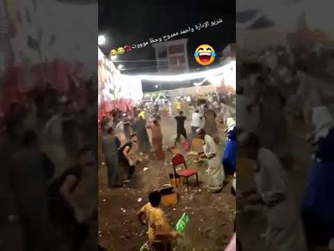 افراح السنبلاوين 