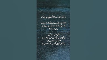 فَصَبْرٌ جَمِيلٌ عَسَى اللَّهُ أَن يَأْتِيَنِي بِهِمْ جَمِيعًا _ القارئ محمد هشام