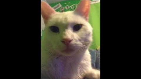 How to duplicate any block in minecraft ps4 TU46