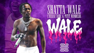 L'OISEAU RARE, SHATTA WALE & PETIT MANDELHA - WALE [ TYPE BEAT 2026 ] (GABON AFRO NTCHAM)