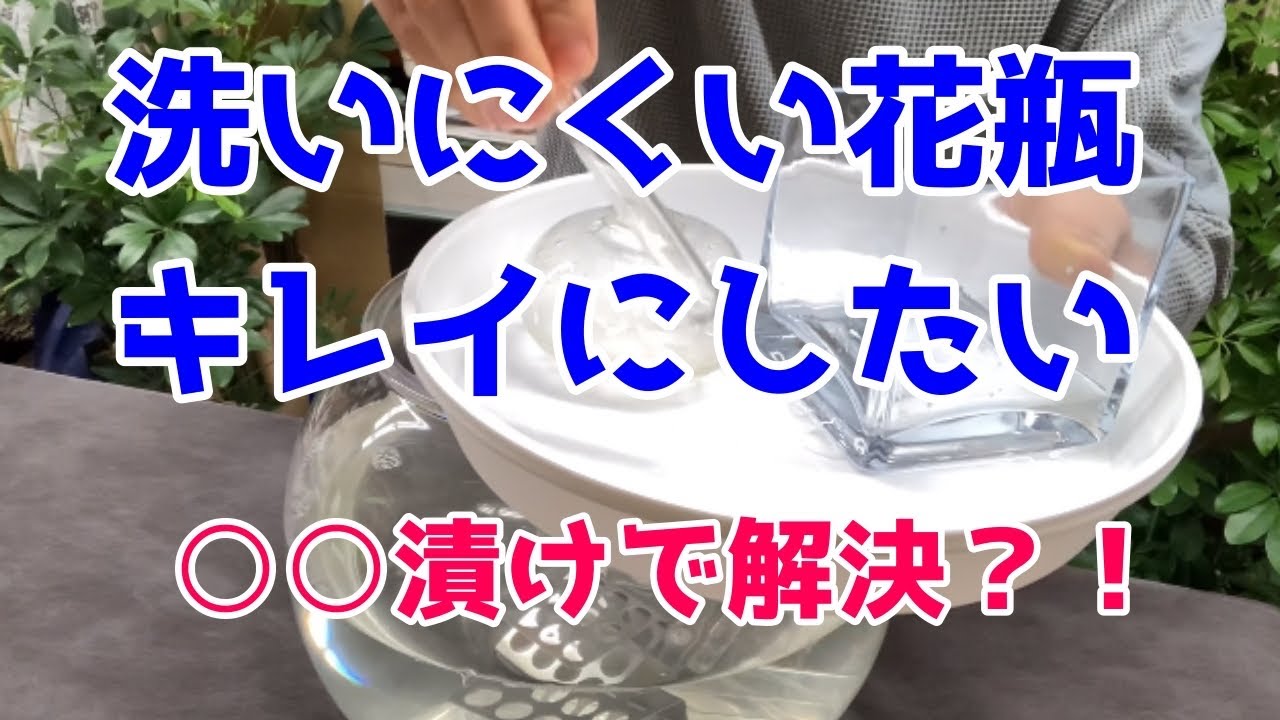 How to clean a hard-to-clean vase] OxiClean is the answer. Soak it