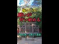 見るだけでなぜか良いことが次々と起こり始める♪再生回数100万回再生「檜原神社」【元伊勢大神神社摂社】最強パワースポット　#shorts