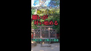 見るだけでなぜか良いことが次々と起こり始める♪再生回数100万回再生「檜原神社」【元伊勢大神神社摂社】最強パワースポット　#shorts