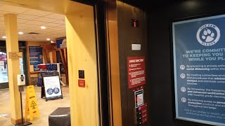 Elevator Tour! All 5 2003 KONE Hydraulic Elevators At Great Wolf 🐺 Lodge Kansas City, Kansas