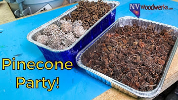 🔴Replay: Resin Casting With Pinecones| Episode 90