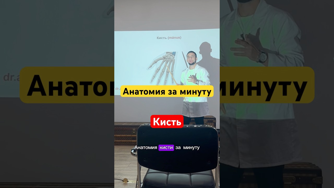 Кисть 