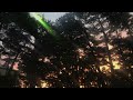 ひとりあやとり / 田村ゆかり(アコギ伴奏)