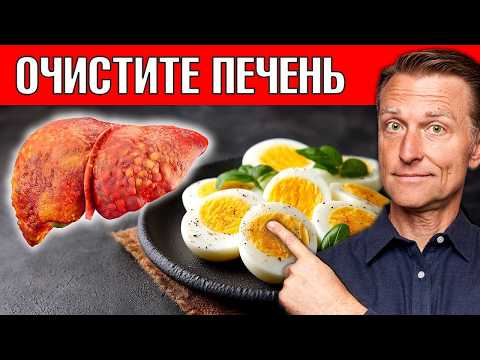ПИЩА №1 для