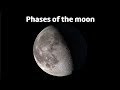 Phases of the Moon Quiz