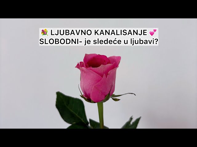 SLOBODNI- Šta je sledeće u ljubavi? 💕✨ #hex #intuitivnocitanje #izaberigrupu