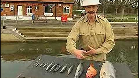 Mr Palin on the sport of Fish Slapping.