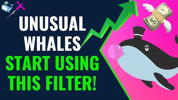 FAVORITE Options Flow Trading Strategy Unusual Whales For Beginners