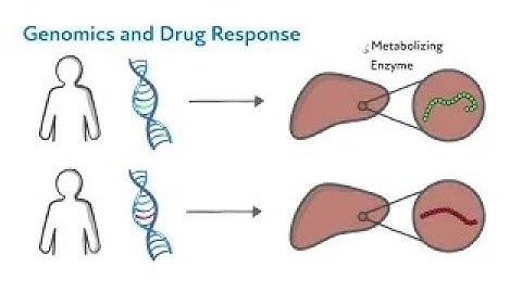 The Science of Pharmacogenomics PGx
