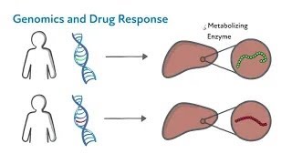 The Science of Pharmacogenomics PGx