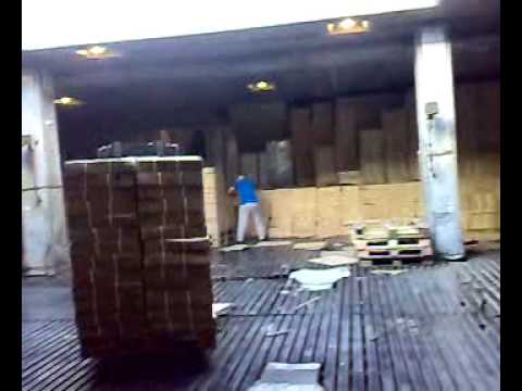 Staart lossen haringvissen | Doovi