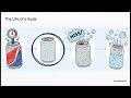 Intro to Chemistry 11-3 Solubility