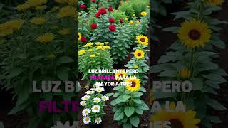 ¿Tus plantas con flores se mueren rápido? Aquí los 6 errores más comunes y cómo salvarlas.
