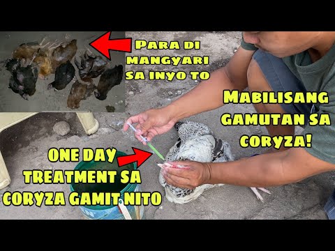 CORYZA | PINAKAMABISANG PARAAN PARA MAGAMOT ANG CORYZA | NAPAGALING NATIN SA LOOB NG ISANG ARAW