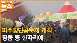 [파주] 명품 콩 한자리에…파주장단콩축제 ● 방송일 : 2022.11.28