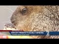 Grady the Groundhog