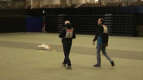 F3P AFM [Aerobatics Freestyle to Music) - Bert van der Vecht