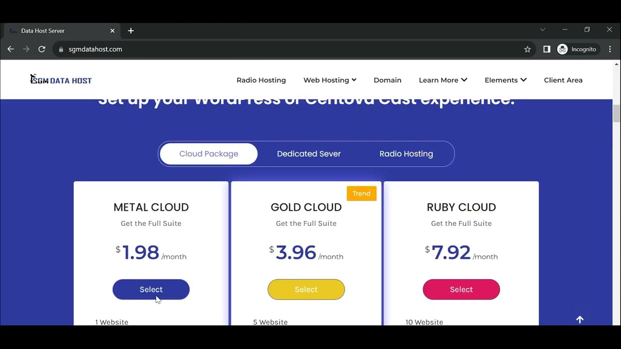 Unleash Your Website's Potential with SGM Data Host - Affordable Unlimited Web Hosting!