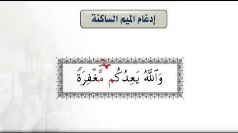 التجويد المبسط - أحكام الميم الساكنة - الإدغام