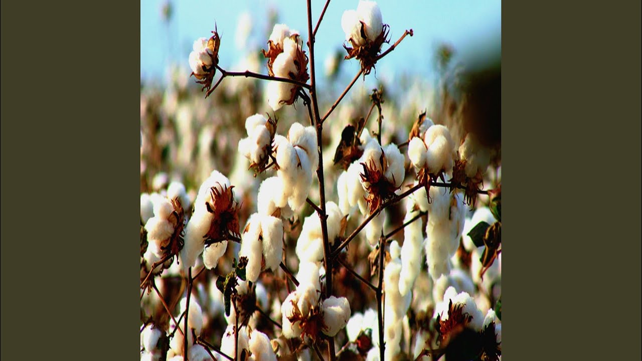 Dockside (Original Mix) - YouTube