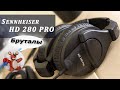 Sennheiser HD 280 PRO обзор наушников