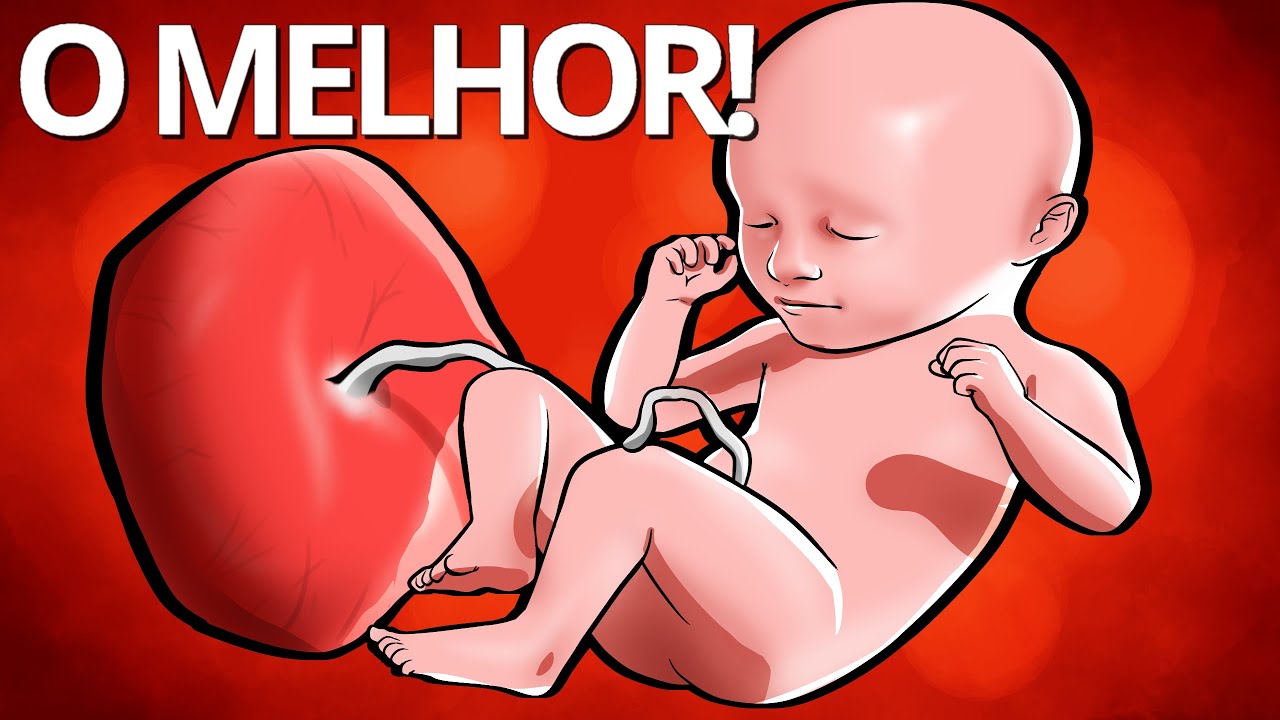 SOM DO ÚTERO - Som Que O Bebê Ouve Dentro Da Barriga - ACALMAR BEBÊS