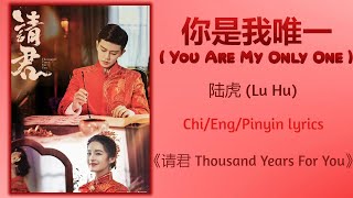 你是我唯一 (You Are My Only One) - 陆虎 (Lu Hu)《请君 Thousand Years For You》Chi/Eng/Pinyin lyrics