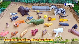 Fun Learning Carnivore, Herbivore & Omnivore Animals for Kids!  | Kidiez World TV