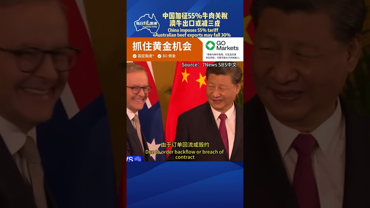 中国加征55%牛肉关税，澳牛出口或减三成#澳洲生活 #澳洲华人 #每日说澳洲 #墨尔本 #australia