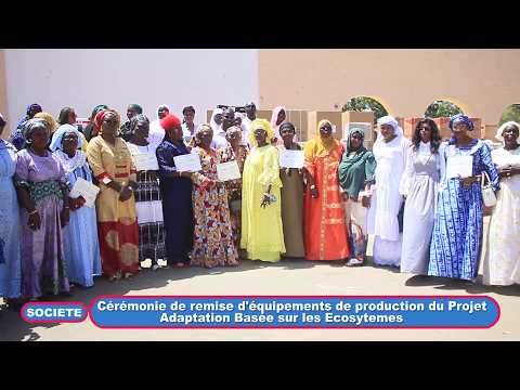 Thiès -  L' ABE  revitalise l'entrepreneuriat féminin par une remise d'équipements