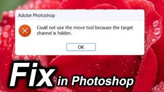 Could not use the move tool because the target channel is hidden