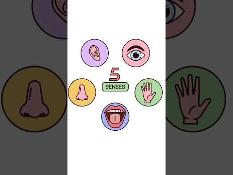 الأذكياء انتظرالإجابة  عرفت الشعب  العلم  الرسوم   أوروبا امريكا