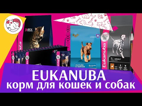 Eukanuba на ilikepet
