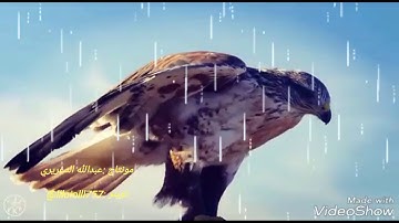 استمع لهذي التلاوه بالمقام العراقي ستدخلك الى عالم الخشوع والتدبر  من آسر القلوب الشيخ.د ياسرالدوسري