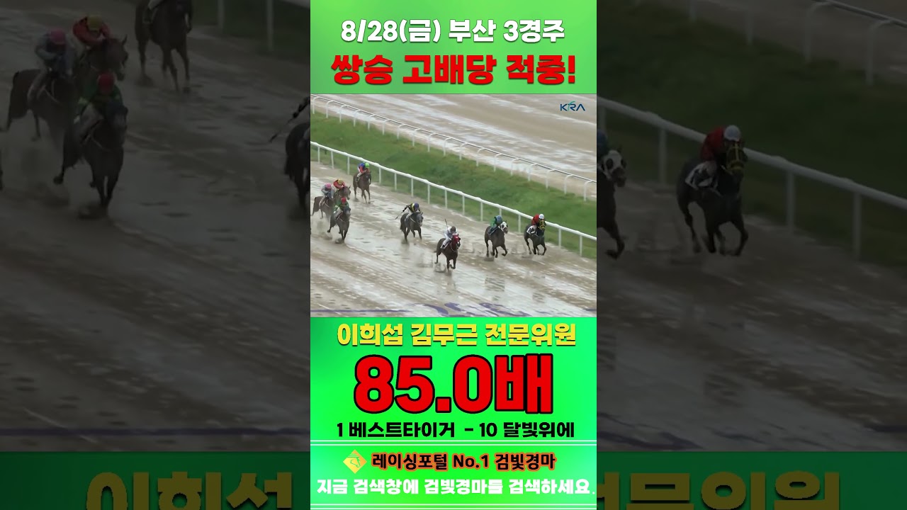 [부산 경마] 8월 28일 금요 3경주 이희섭 김무근 전문위원 쌍승 고배당 적중 #경마 #automobile #한국마사회 #horse #하이라이트 #korean #비트코인 #게임