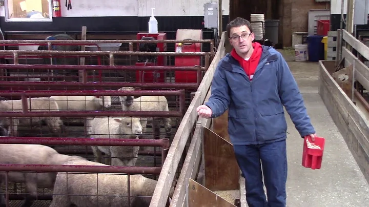 Small Ruminant Webinar Series- Sheep Nutrition with Dr. Relling: Growing Lambs & Fiber Sources