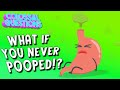 What would happen if you never pooped  colossal questions