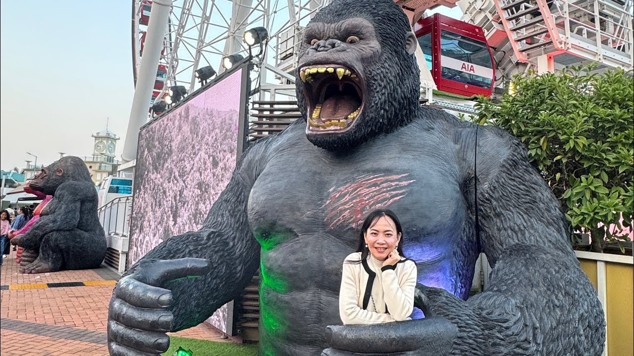 ជិះកន្ត្រកវិលមើលទេសភាពពេលរត្រី