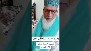 شاہین کا عشق مرشد شاہ رفیق پیا