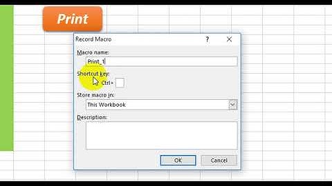 Create Macro Button for Print In Excel